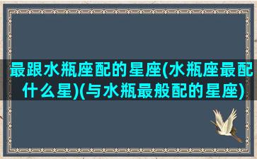 最跟水瓶座配的星座(水瓶座最配什么星)(与水瓶最般配的星座)