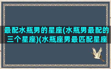 最配水瓶男的星座(水瓶男最配的三个星座)(水瓶座男最匹配星座)