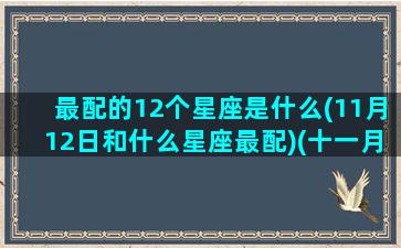 最配的12个星座是什么(11月12日和什么星座最配)(十一月十二日星座)