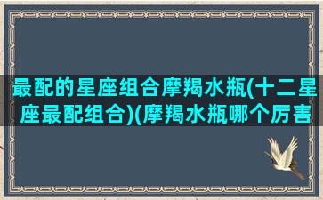 最配的星座组合摩羯水瓶(十二星座最配组合)(摩羯水瓶哪个厉害)