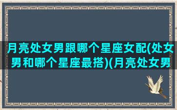 月亮处女男跟哪个星座女配(处女男和哪个星座最搭)(月亮处女男爱你的表现)