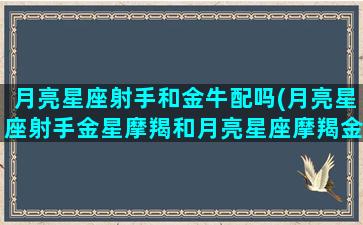 月亮星座射手和金牛配吗(月亮星座射手金星摩羯和月亮星座摩羯金星天蝎合适吗)