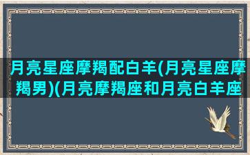 月亮星座摩羯配白羊(月亮星座摩羯男)(月亮摩羯座和月亮白羊座)