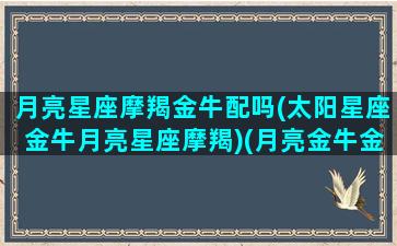 月亮星座摩羯金牛配吗(太阳星座金牛月亮星座摩羯)(月亮金牛金星摩羯男)