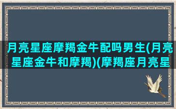 月亮星座摩羯金牛配吗男生(月亮星座金牛和摩羯)(摩羯座月亮星座金牛座)