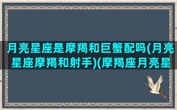 月亮星座是摩羯和巨蟹配吗(月亮星座摩羯和射手)(摩羯座月亮星座巨蟹座)