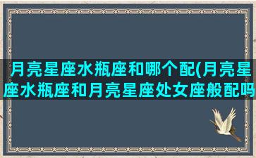 月亮星座水瓶座和哪个配(月亮星座水瓶座和月亮星座处女座般配吗)(十二星座最佳配对之月亮水瓶座)