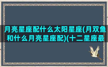 月亮星座配什么太阳星座(月双鱼和什么月亮星座配)(十二星座最佳配对之月亮双鱼座)