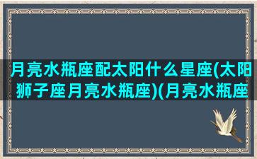 月亮水瓶座配太阳什么星座(太阳狮子座月亮水瓶座)(月亮水瓶座和太阳水瓶座)