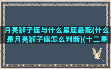 月亮狮子座与什么星座最配(什么是月亮狮子座怎么判断)(十二星座最佳配对之月亮狮子座)