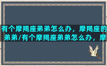 有个摩羯座弟弟怎么办，摩羯座的弟弟/有个摩羯座弟弟怎么办，摩羯座的弟弟-我的网站