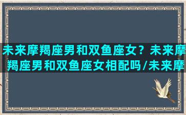 未来摩羯座男和双鱼座女？未来摩羯座男和双鱼座女相配吗/未来摩羯座男和双鱼座女？未来摩羯座男和双鱼座女相配吗-我的网站