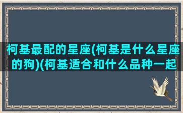 柯基最配的星座(柯基是什么星座的狗)(柯基适合和什么品种一起养)