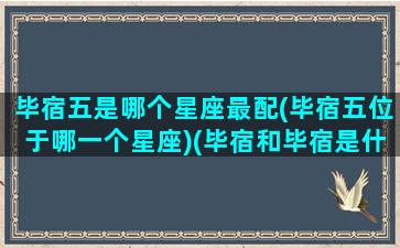 毕宿五是哪个星座最配(毕宿五位于哪一个星座)(毕宿和毕宿是什么关系)