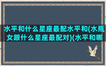 水平和什么星座最配水平和(水瓶女跟什么星座最配对)(水平和哪个星座最般配)