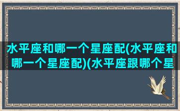 水平座和哪一个星座配(水平座和哪一个星座配)(水平座跟哪个星座最配)