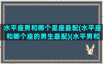 水平座男和哪个星座最配(水平座和哪个座的男生最配)(水平男和什么星座女最配)