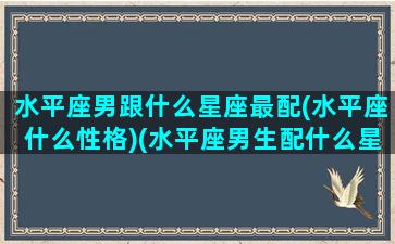 水平座男跟什么星座最配(水平座什么性格)(水平座男生配什么星座女生)