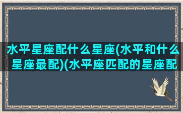 水平星座配什么星座(水平和什么星座最配)(水平座匹配的星座配对)