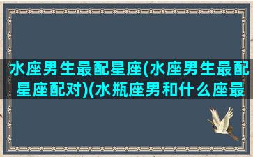 水座男生最配星座(水座男生最配星座配对)(水瓶座男和什么座最配)