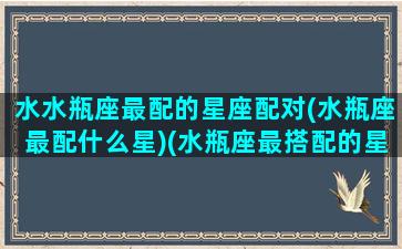 水水瓶座最配的星座配对(水瓶座最配什么星)(水瓶座最搭配的星座是什么星座)