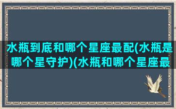 水瓶到底和哪个星座最配(水瓶是哪个星守护)(水瓶和哪个星座最搭配)