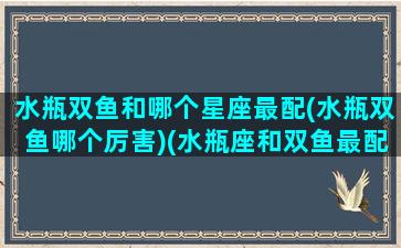 水瓶双鱼和哪个星座最配(水瓶双鱼哪个厉害)(水瓶座和双鱼最配对)
