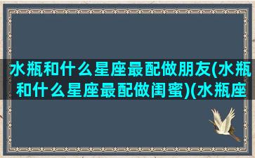 水瓶和什么星座最配做朋友(水瓶和什么星座最配做闺蜜)(水瓶座和什么星座最配当闺蜜)