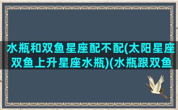 水瓶和双鱼星座配不配(太阳星座双鱼上升星座水瓶)(水瓶跟双鱼座的星座配对)