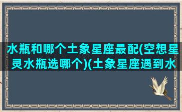 水瓶和哪个土象星座最配(空想星灵水瓶选哪个)(土象星座遇到水瓶)