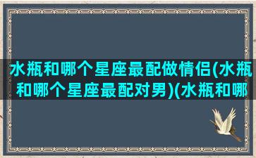 水瓶和哪个星座最配做情侣(水瓶和哪个星座最配对男)(水瓶和哪个星座最搭配)