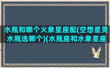 水瓶和哪个火象星座配(空想星灵水瓶选哪个)(水瓶座和水象星座配对)