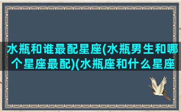 水瓶和谁最配星座(水瓶男生和哪个星座最配)(水瓶座和什么星座男最配对)