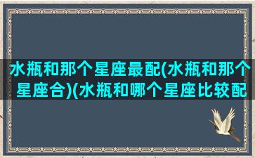 水瓶和那个星座最配(水瓶和那个星座合)(水瓶和哪个星座比较配)