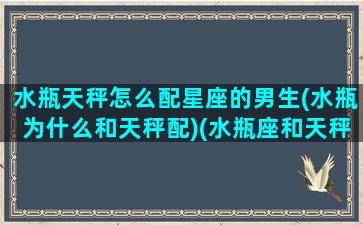 水瓶天秤怎么配星座的男生(水瓶为什么和天秤配)(水瓶座和天秤做)