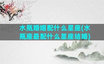 水瓶婚姻配什么星座(水瓶座最配什么星座结婚)