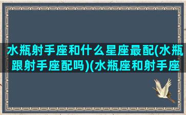 水瓶射手座和什么星座最配(水瓶跟射手座配吗)(水瓶座和射手座的匹配程度)