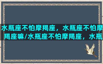 水瓶座不怕摩羯座，水瓶座不怕摩羯座嘛/水瓶座不怕摩羯座，水瓶座不怕摩羯座嘛-我的网站