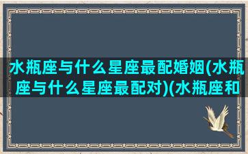 水瓶座与什么星座最配婚姻(水瓶座与什么星座最配对)(水瓶座和什么星座配对合适)