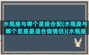 水瓶座与哪个星座合配(水瓶座与哪个星座最适合做情侣)(水瓶座和哪个星座最搭配情侣)