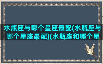 水瓶座与哪个星座最配(水瓶座与哪个星座最配)(水瓶座和哪个星座最配在一起)