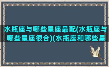 水瓶座与哪些星座最配(水瓶座与哪些星座很合)(水瓶座和哪些星座比较配)