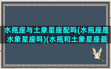 水瓶座与土象星座配吗(水瓶座是水象星座吗)(水瓶和土象星座最配)