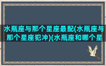 水瓶座与那个星座最配(水瓶座与那个星座犯冲)(水瓶座和哪个星座比较搭配)