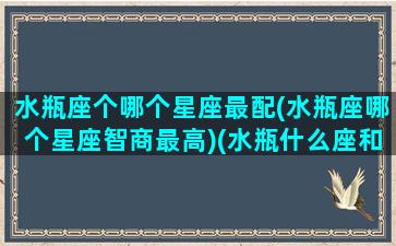 水瓶座个哪个星座最配(水瓶座哪个星座智商最高)(水瓶什么座和什么座最配)