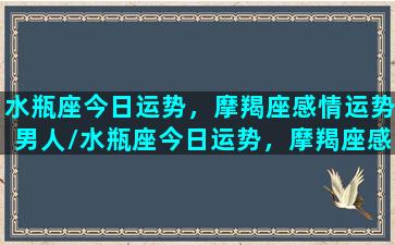 水瓶座今日运势，摩羯座感情运势男人/水瓶座今日运势，摩羯座感情运势男人-我的网站