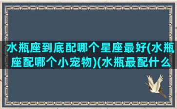 水瓶座到底配哪个星座最好(水瓶座配哪个小宠物)(水瓶最配什么星座的话)