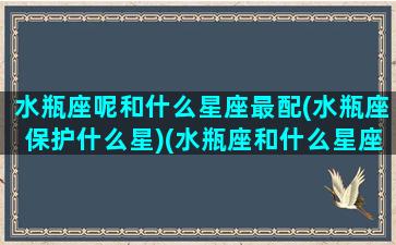 水瓶座呢和什么星座最配(水瓶座保护什么星)(水瓶座和什么星座比较般配)