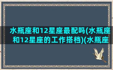 水瓶座和12星座最配吗(水瓶座和12星座的工作搭档)(水瓶座和十二星座的配对)