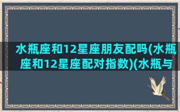 水瓶座和12星座朋友配吗(水瓶座和12星座配对指数)(水瓶与12星座配对表)